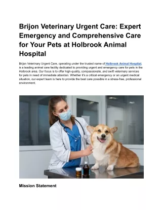 Brijon Veterinary Urgent Care_ Expert Emergency and Comprehensive Care for Your Pets at Holbrook Animal Hospital