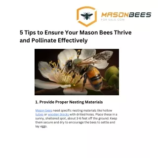 Mason Bee Care Tips for Effective Pollination | Easy Guide