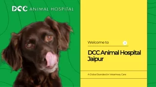 Pet Clinic in Jaipur