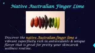 native australian finger lime