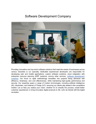 Software Development Company (16)