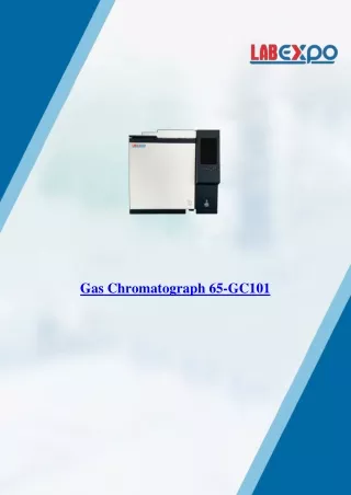 gas chromatograph 65 gc101
