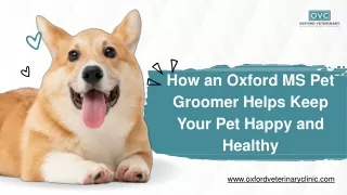 How an Oxford MS Pet Groomer Helps Keep Your Pet Happy and Healthy