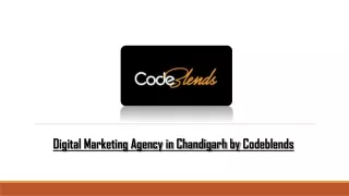 Digital Marketing Agency in Chandigarh by Codeblends