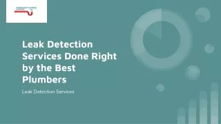 Leak Detection Services Done Right by the Best Plumbers