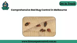 Comprehensive Bed Bug Control in Melbourne