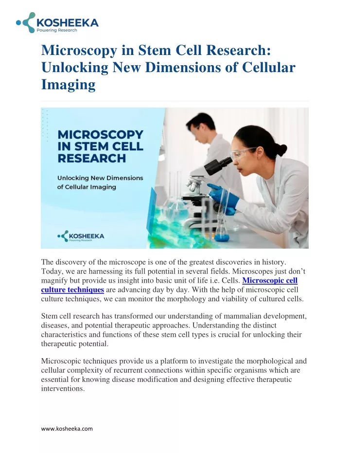 microscopy in stem cell research unlocking