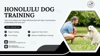 Honolulu Dog Training