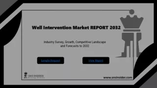 Well Intervention Market