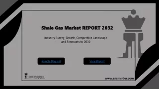 Shale Gas Market