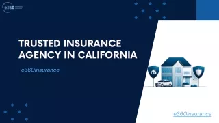 Experience Comprehensive Coverage Solutions with e360insurance