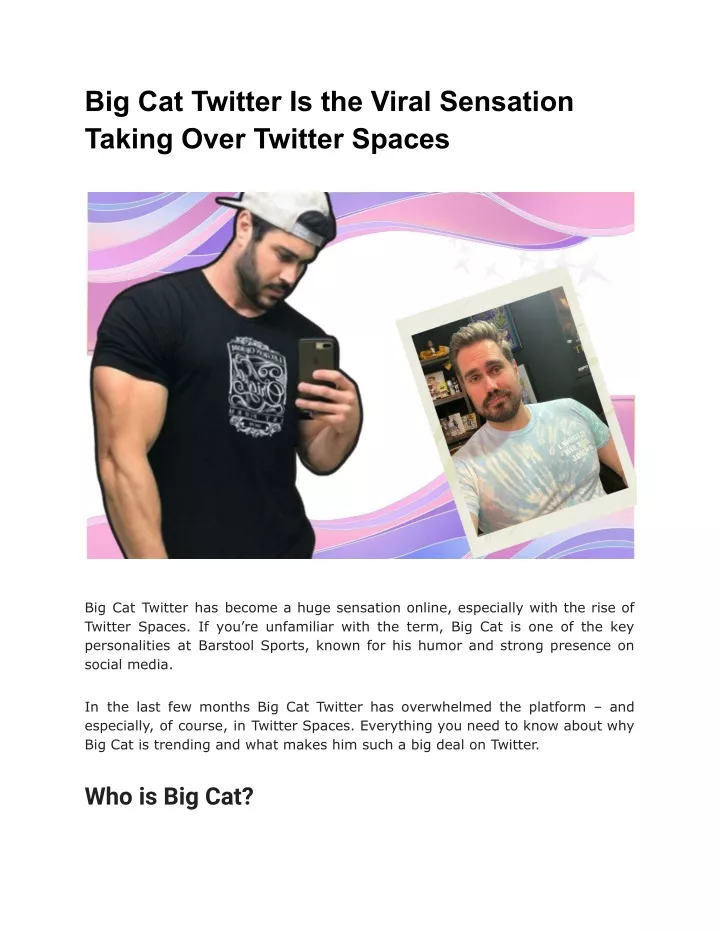 big cat twitter is the viral sensation taking