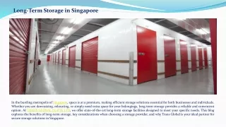 Long-Term Storage in Singapore