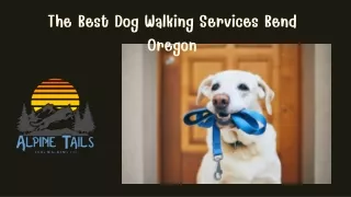 The Best Dog Walking Services Bend Oregon