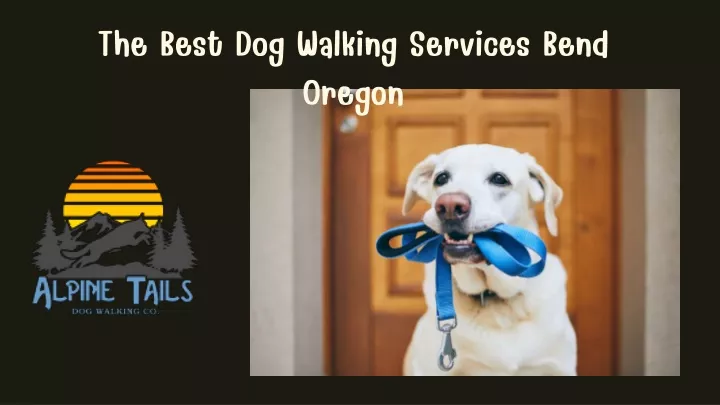 the best dog walking services bend oregon