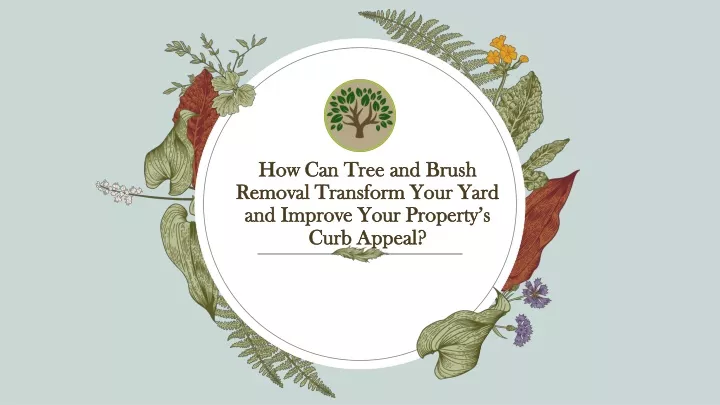 how can tree and brush removal transform your yard and improve your property s curb appeal