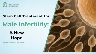 Stem Cell Treatment for Male Infertility: A New Hope"