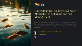 Understanding Piscamycin A Safer Alternative to Rotenone  for Fish Management