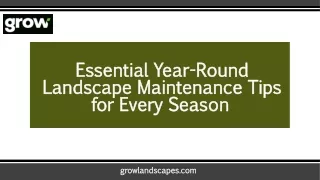 Essential Year-Round Landscape Maintenance Tips for Every Season