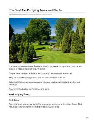 The Best Air- Purifying Trees and Plants - Trees Unlimited LLC