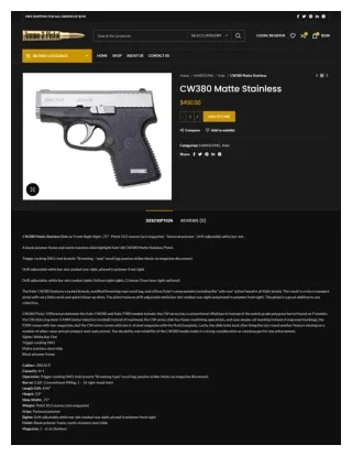 CW380 Matte Stainless in USA - ammo2pistol.com