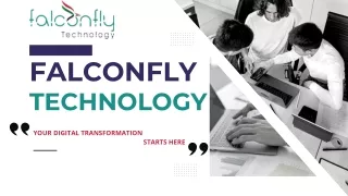 falconfly technology