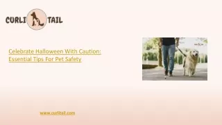 Essential Tips For Pet Safety