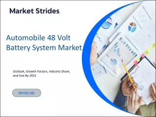 Automobile 48 Volt Battery System Market