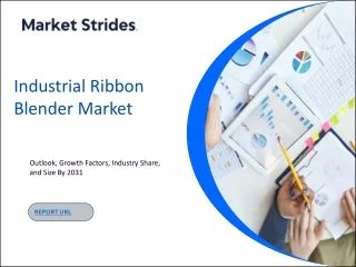 Industrial Ribbon Blender Market