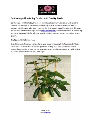 Cultivating a Flourishing Garden with Quality Seeds