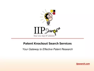 patent knockout search services