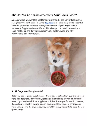 should you add supplements to your dog s food