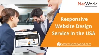 NetWorld - Responsive Website Design Service in the USA