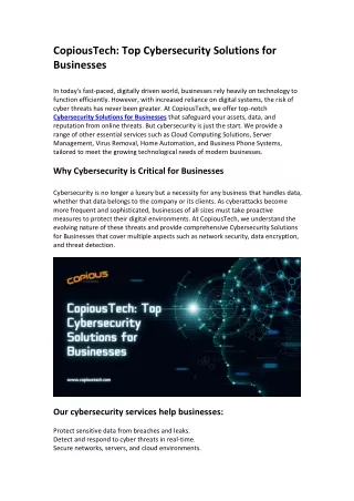 CopiousTech Top Cybersecurity Solutions for Businesses