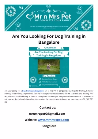 Are You Looking For Dog Training in Bangalore