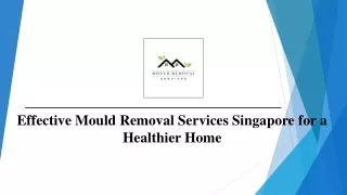 Effective Mould Removal Services Singapore for a Healthier Home