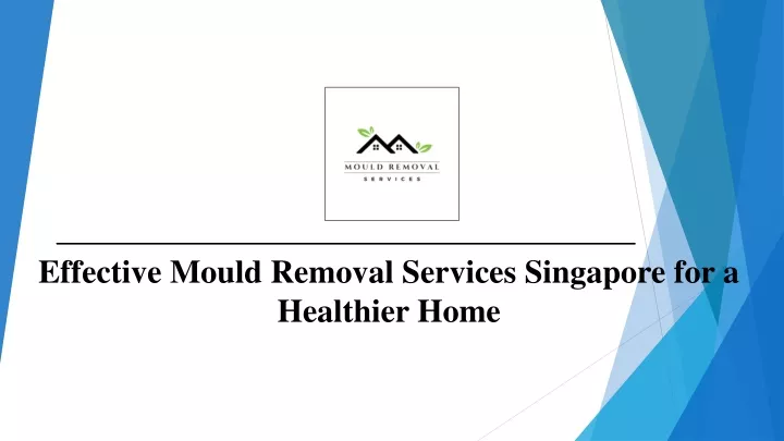 effective mould removal services singapore for a healthier home