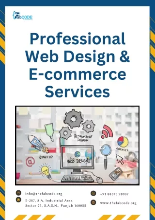 Professional Web Design & E-commerce Services