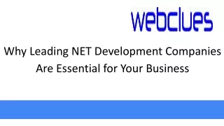why leading net development companies