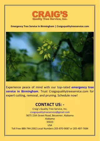 Emergency Tree Service In Birmingham  Craigsqualitytreeservice.com