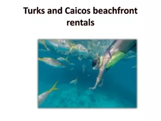 Turks and Caicos beachfront rentals