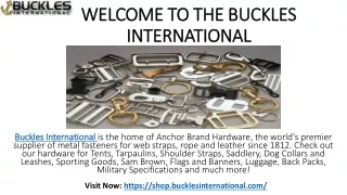 Fixed Square Eye Bolt Snaps at Buckles International