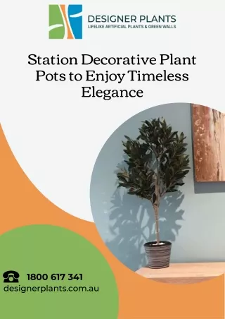 Station Decorative Plant Pots to Enjoy Timeless Elegance