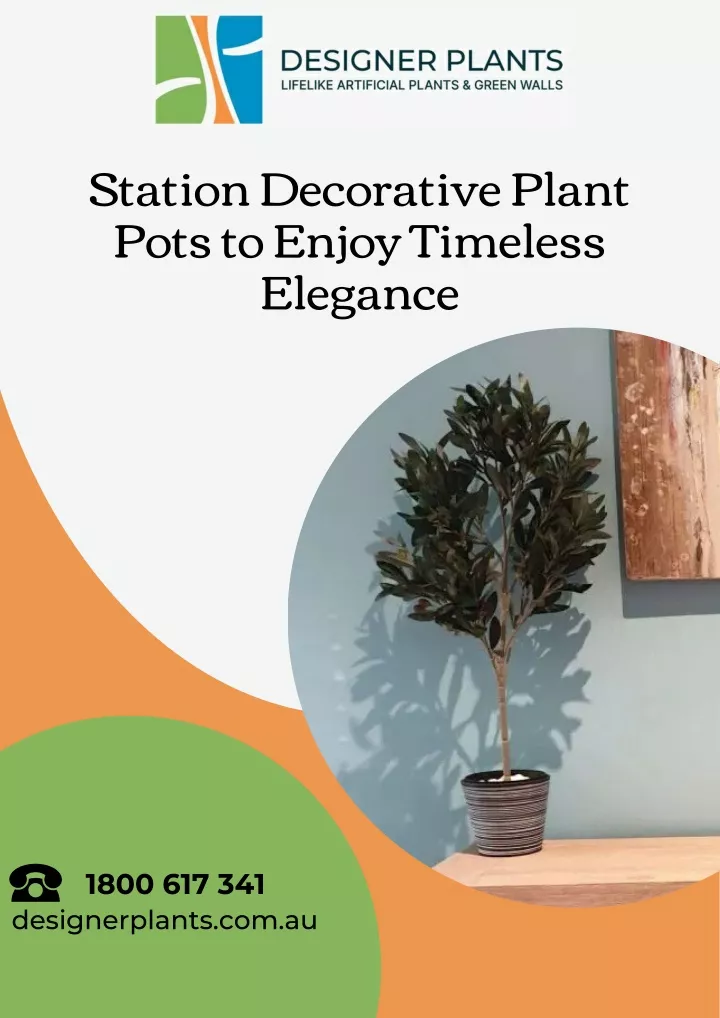 station decorative plant pots to enjoy timeless