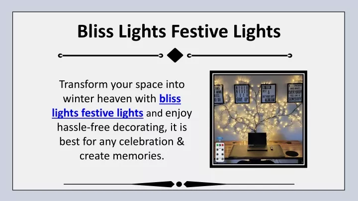 bliss lights festive lights