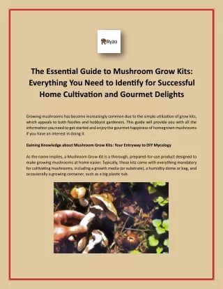 The Essential Guide to Mushroom Grow Kits - Everything You Need to Identify for Successful Home Cultivation and Gourmet