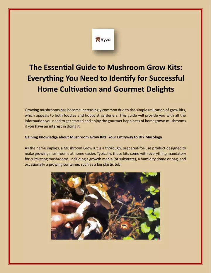 the essential guide to mushroom grow kits