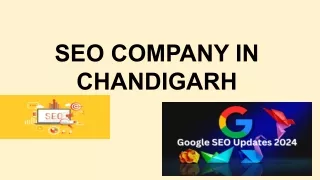 SEO COMPANY IN CHANDIGARH