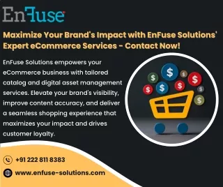 Maximize Your Brand's Impact with EnFuse Solutions' Expert eCommerce Services