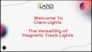 Magnetic Track Lights